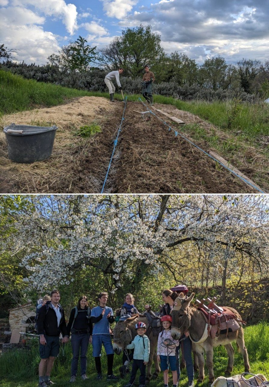 Actualités — jardin et ânes